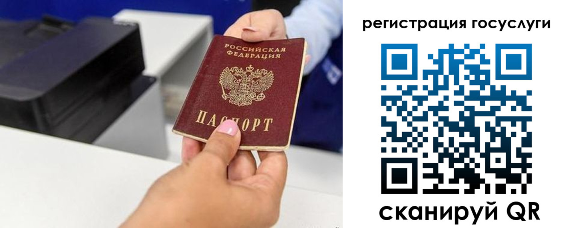 прописка 2025 в Петропавловске-Камчатском